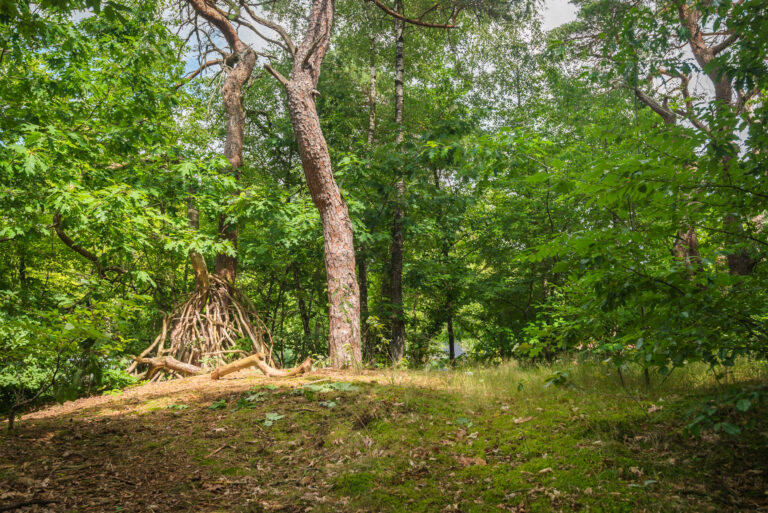 BosparkBilthoven_Sfeer_28juli2025_RonArnoldussen-11