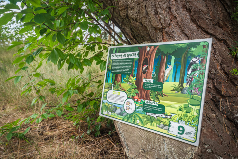 BosparkBilthoven_Sfeer_28juli2025_RonArnoldussen-6