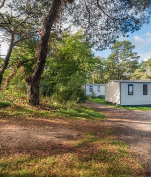 BosParkBilthoven_SfeerHerfst_04okt2025_RonArnoldussen-5