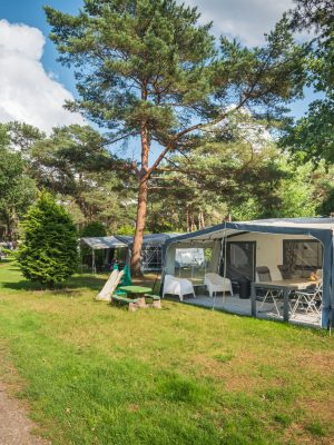 BosparkBilthoven_Sfeer_28juli2025_RonArnoldussen-3